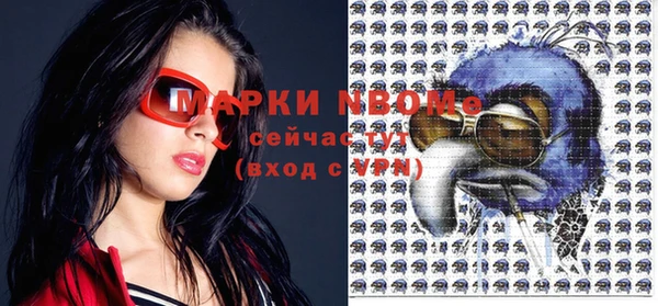 дмт Протвино
