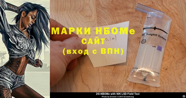 индика Балабаново