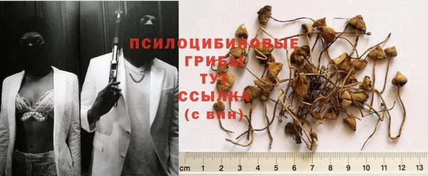 COCAINE Баксан