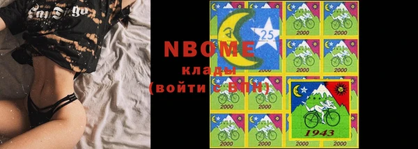 индика Балабаново