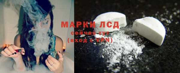индика Балабаново
